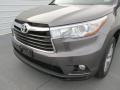 2015 Highlander XLE #10