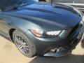 2015 Mustang EcoBoost Premium Coupe #2