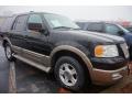 Front 3/4 View of 2004 Ford Expedition Eddie Bauer #4