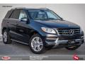2015 ML 250 BlueTEC 4Matic #1