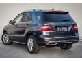 2015 ML 250 BlueTEC 4Matic #2