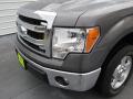 2014 F150 XLT SuperCrew #7