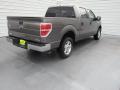 2014 F150 XLT SuperCrew #9