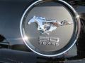 2015 Mustang EcoBoost Premium Coupe #20