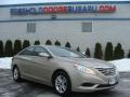 2011 Sonata GLS #1 2011 Sonata GLS #1