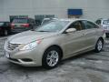 2011 Sonata GLS #3 2011 Sonata GLS #3