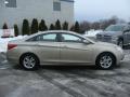2011 Sonata GLS #7 2011 Sonata GLS #7