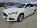 2015 Fusion SE #6 2015 Fusion SE #6