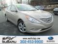2011 Sonata Limited 2.0T #1