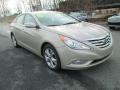 2011 Sonata Limited 2.0T #4