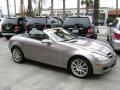 2006 SLK 350 Roadster #16
