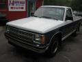 1991 S10 Regular Cab #6