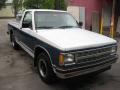 1991 S10 Regular Cab #17