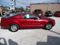 2007 Mustang V6 Deluxe Coupe #4