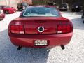 2007 Mustang V6 Deluxe Coupe #6