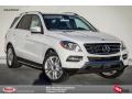 2015 ML 350 #1
