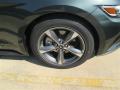2015 Mustang V6 Coupe #3 2015 Mustang V6 Coupe #3