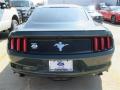 2015 Mustang V6 Coupe #17 2015 Mustang V6 Coupe #17