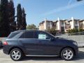 2015 ML 250 BlueTEC 4Matic #3 2015 ML 250 BlueTEC 4Matic #3