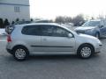  2007 Volkswagen Rabbit Reflex Silver Metallic #8