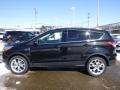 2015 Escape Titanium 4WD #6