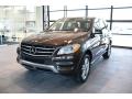 2015 ML 350 4Matic #2