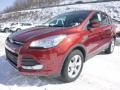 2015 Escape SE 4WD #6 2015 Escape SE 4WD #6