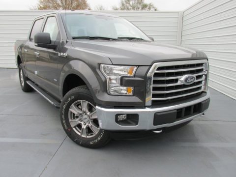 Magnetic Metallic Ford F150 XLT SuperCrew 4x4.  Click to enlarge.