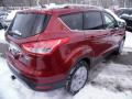 2015 Escape Titanium 4WD #10
