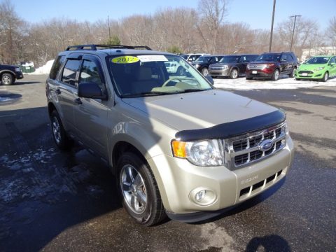 Gold Leaf Metallic Ford Escape XLT V6 4WD. Click to enlarge. Gold Leaf Metallic Ford Escape XLT V6 4WD. Click to enlarge.