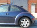 1999 New Beetle GLS Coupe #10