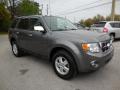 Front 3/4 View of 2010 Ford Escape XLT V6 #11