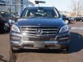2013 ML 350 BlueTEC 4Matic #2