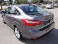2014 Focus SE Sedan #9