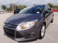 2014 Focus SE Sedan #14