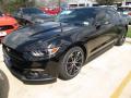 2015 Mustang EcoBoost Coupe #11 2015 Mustang EcoBoost Coupe #11