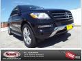 2015 ML 350 #1