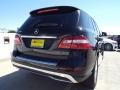 2015 ML 350 #4