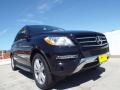 2015 ML 350 #11