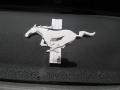 2015 Mustang V6 Coupe #9 2015 Mustang V6 Coupe #9