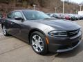 2015 Charger SE #9