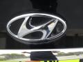 2012 Sonata GLS #13 2012 Sonata GLS #13