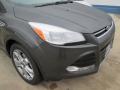 2015 Escape Titanium #2