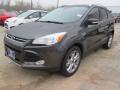 2015 Escape Titanium #5