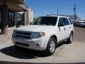 2010 Escape XLT V6 4WD #18