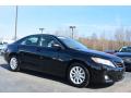 2010 Camry XLE #1