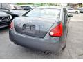 2004 Maxima 3.5 SE #10