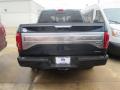 2015 F150 Platinum SuperCrew #29