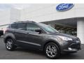 2015 Escape SE #1