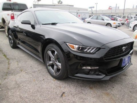 Black Ford Mustang V6 Coupe.  Click to enlarge.